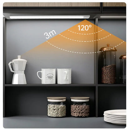 Z&M Express Illuminating LED Light