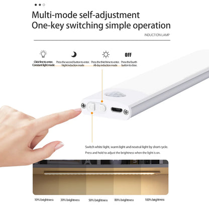 Z&M Express Illuminating LED Light